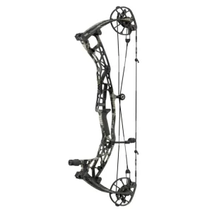 Hoyt ALPHA AX-3 29 compoundbue